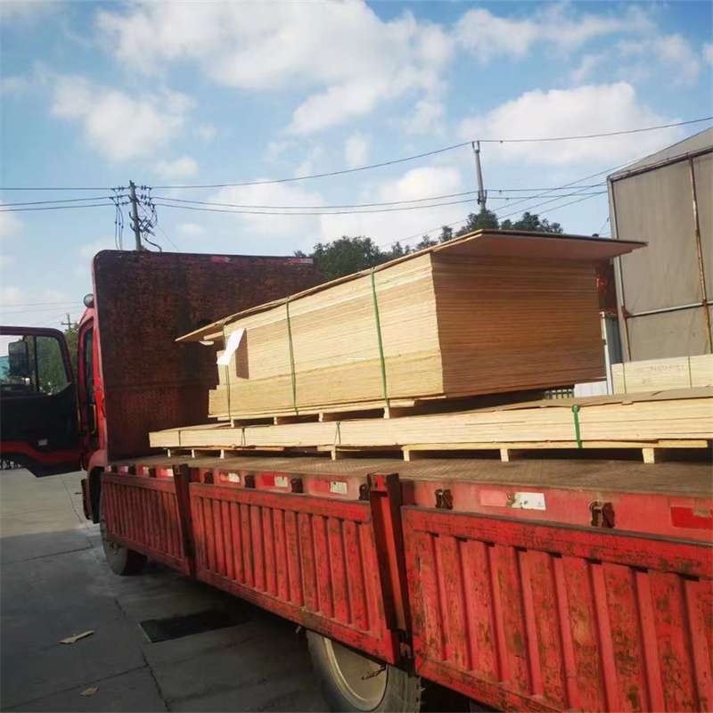 麻山区通化市物流运输：多元服务与高效线路探秘
