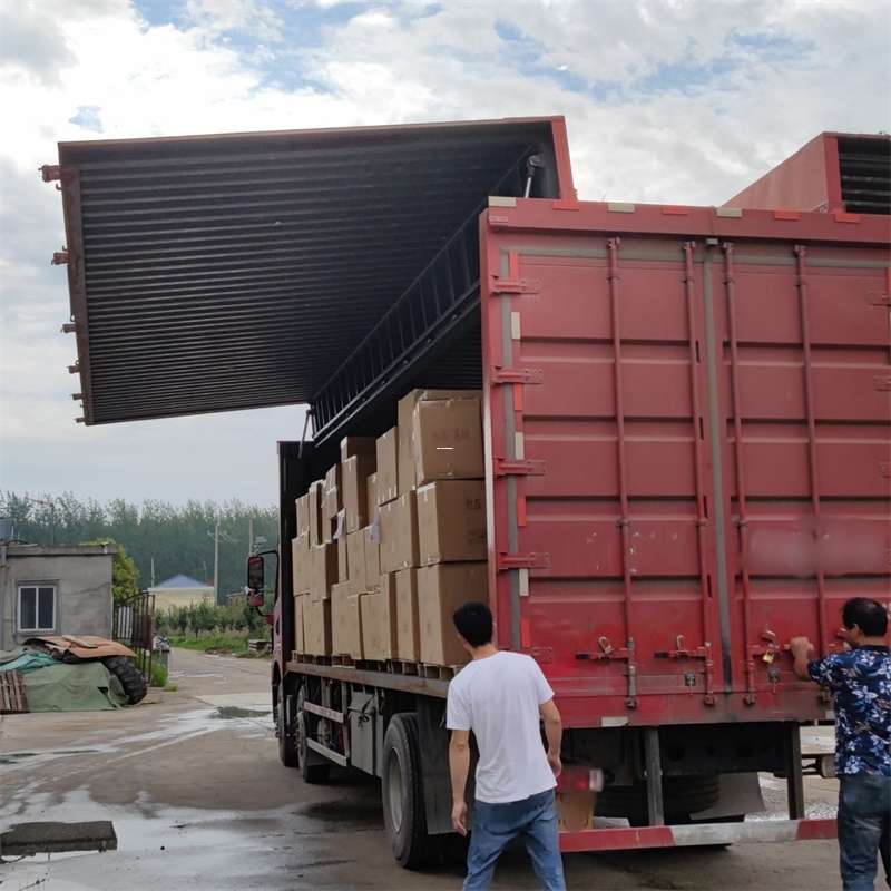 麻山区扎囊县：物流专线的高效货运之旅